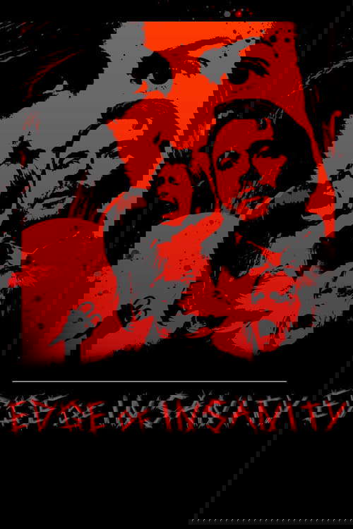 Edge of Insanity poster