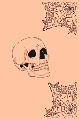 Skull & Spider Webs Spooky Notebook poster