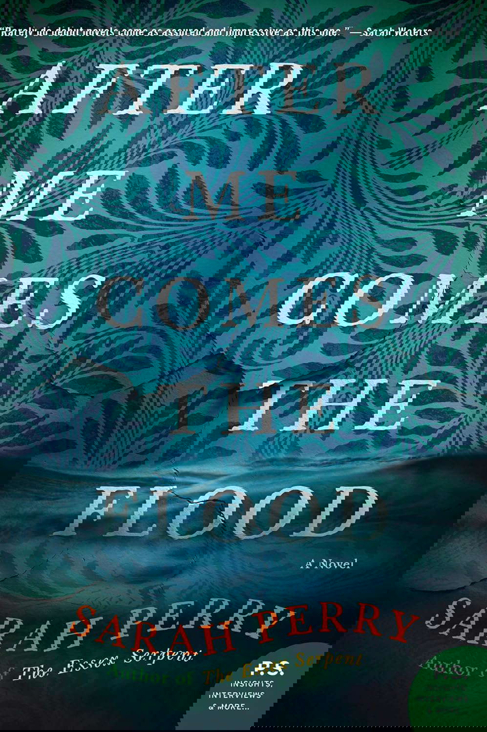 AFTER ME COMES FLOOD poster