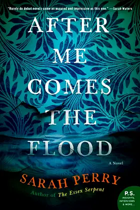 AFTER ME COMES FLOOD poster