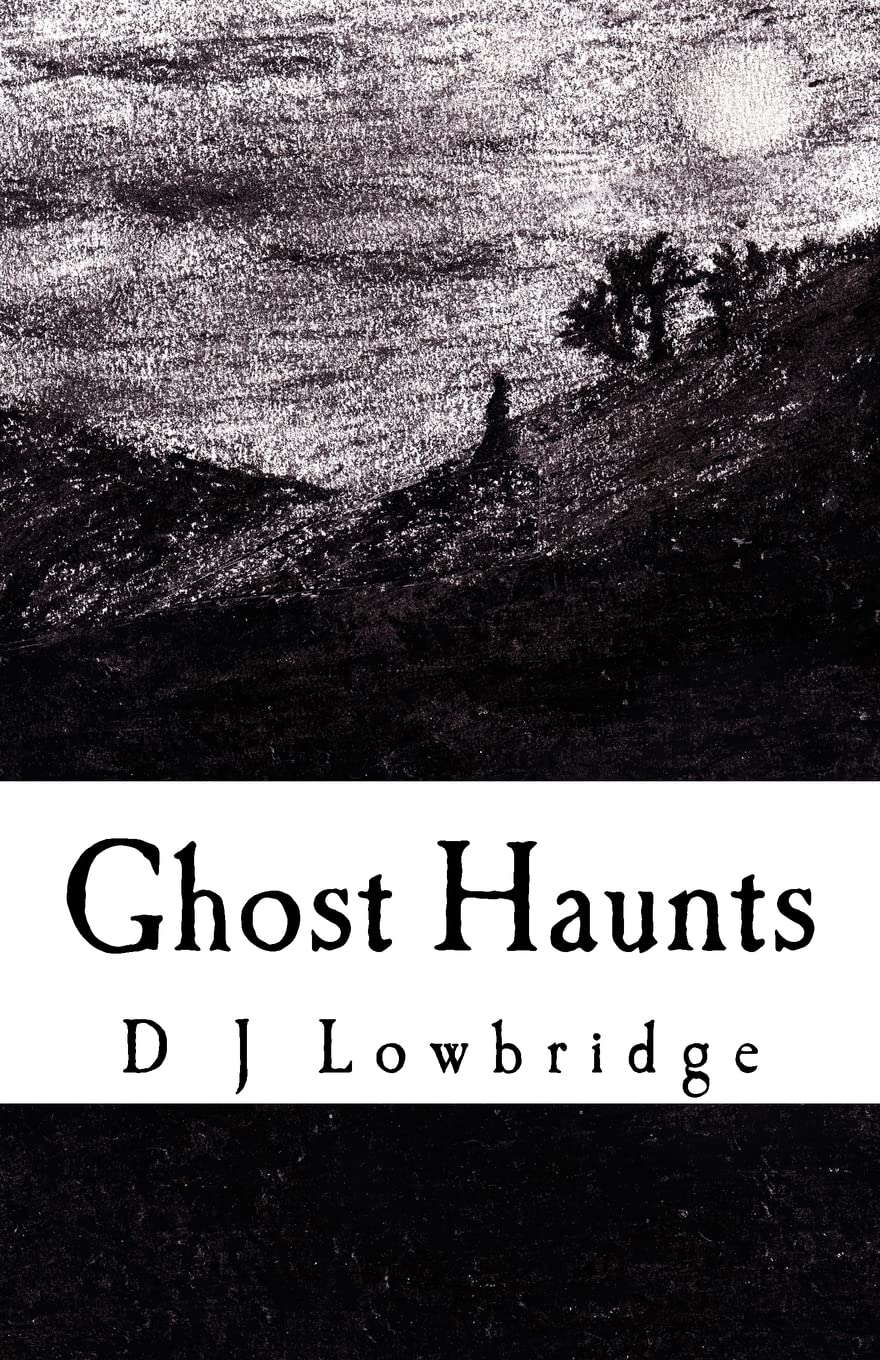Ghost Haunts poster