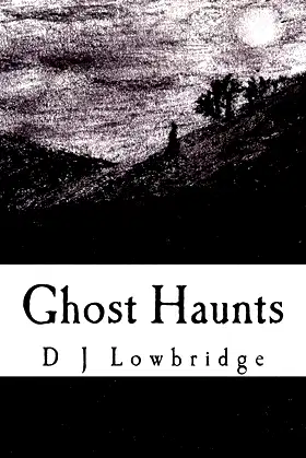 Ghost Haunts poster