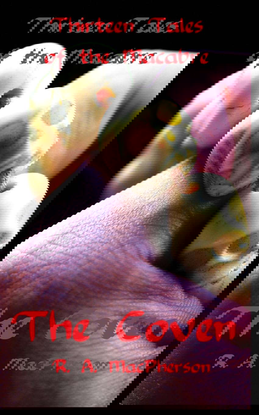 The Coven: Thirteen Tales of the Macabre poster