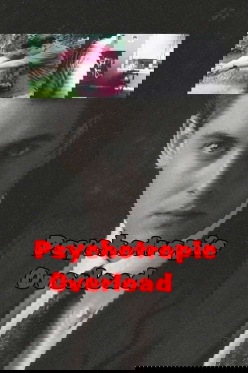 Psychotropic Overload poster