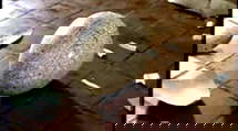 episode poster