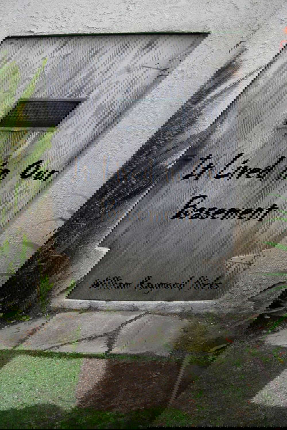 It Lived in Our Basement (Adventures with Joe Book 2) poster