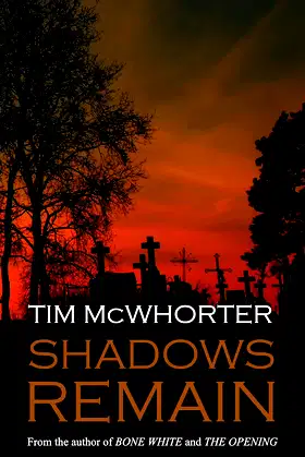 Shadows Remain poster