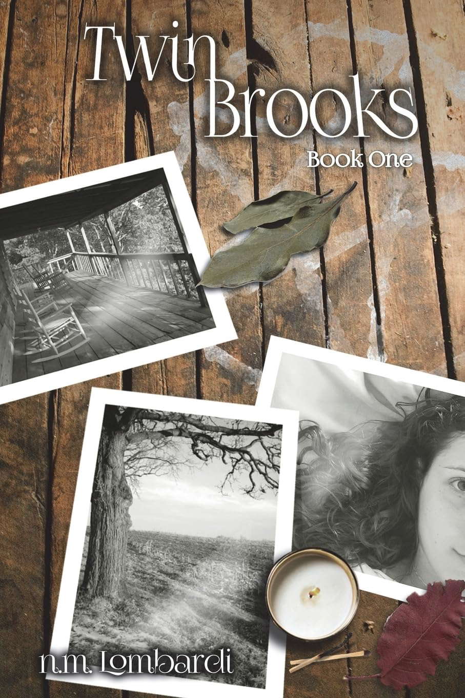 Twin Brooks poster