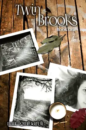 Twin Brooks poster