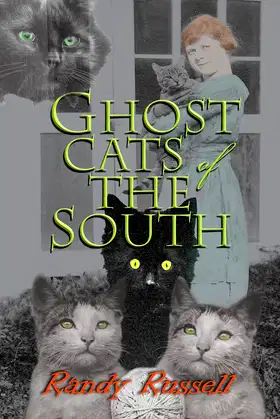 Ghost Cats of the South poster