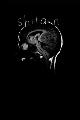 shita ni poster
