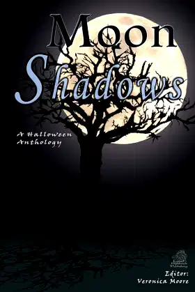 Moon Shadows poster