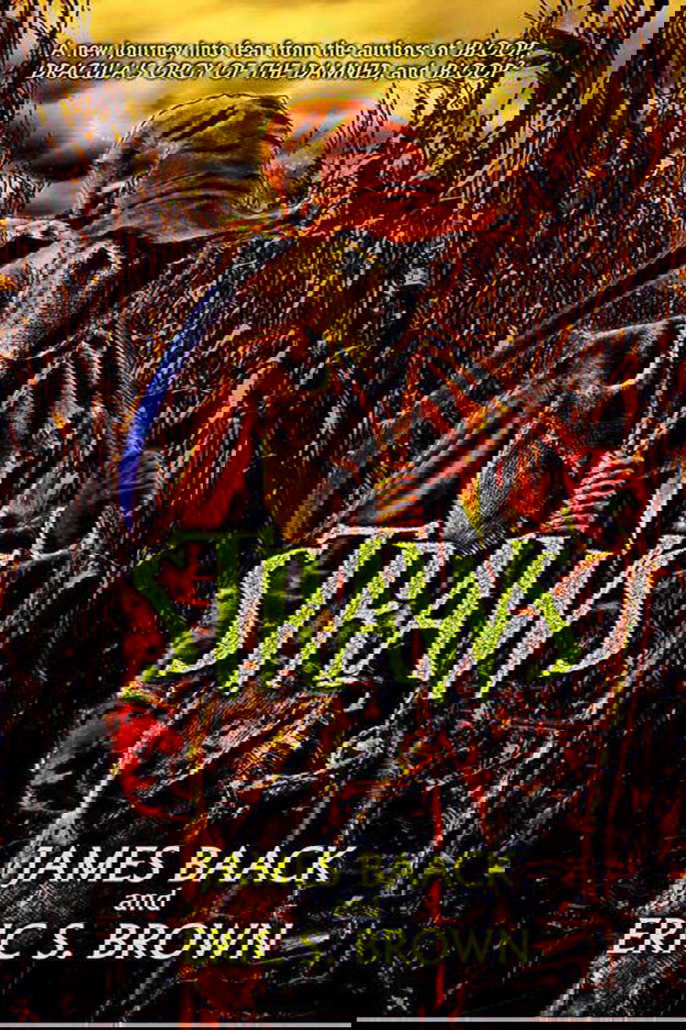 Straws poster