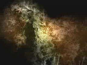 Curse of the Zodiac (2007) Trailer poster
