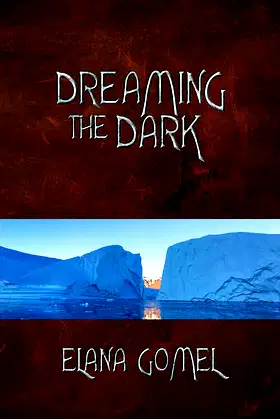 Dreaming the Dark poster