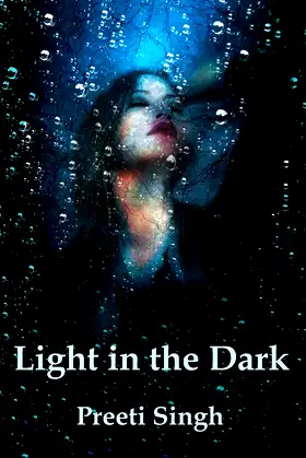 Light in the Dark (3) poster