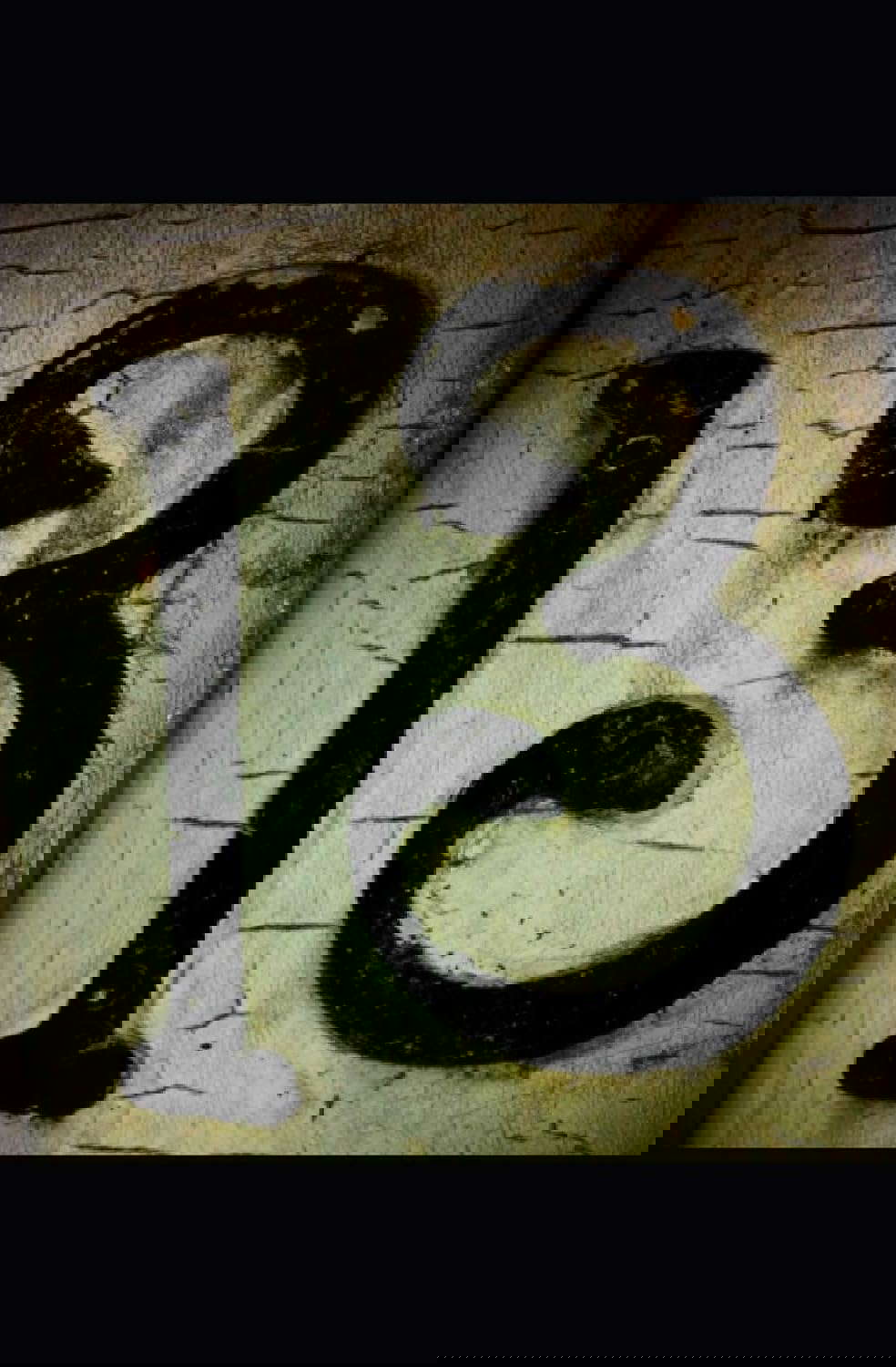 13 poster