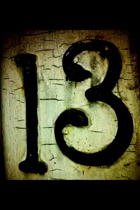 13 poster