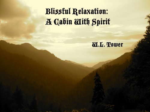 Blissful Relaxation: A Cabin with Spirit poster