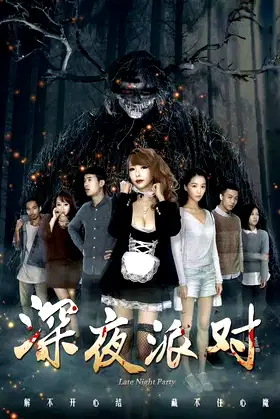 Late Night Party poster
