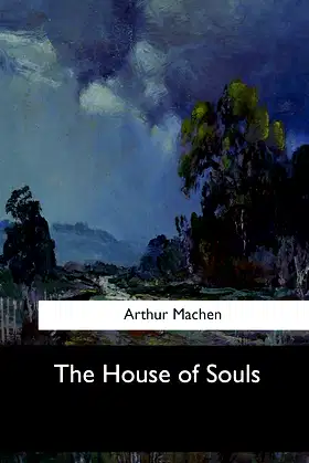 The House of Souls poster