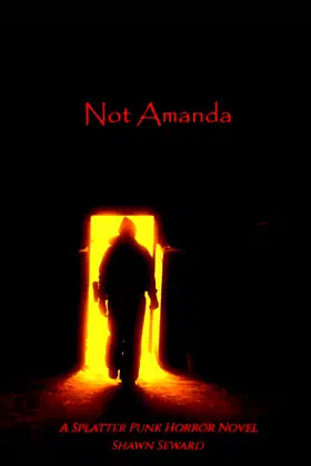 Not Amanda poster