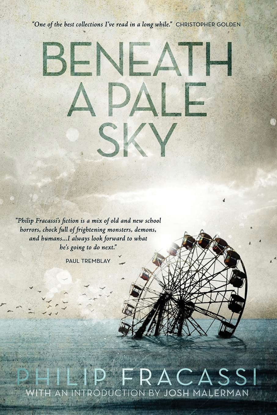 Beneath a Pale Sky poster