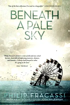 Beneath a Pale Sky poster