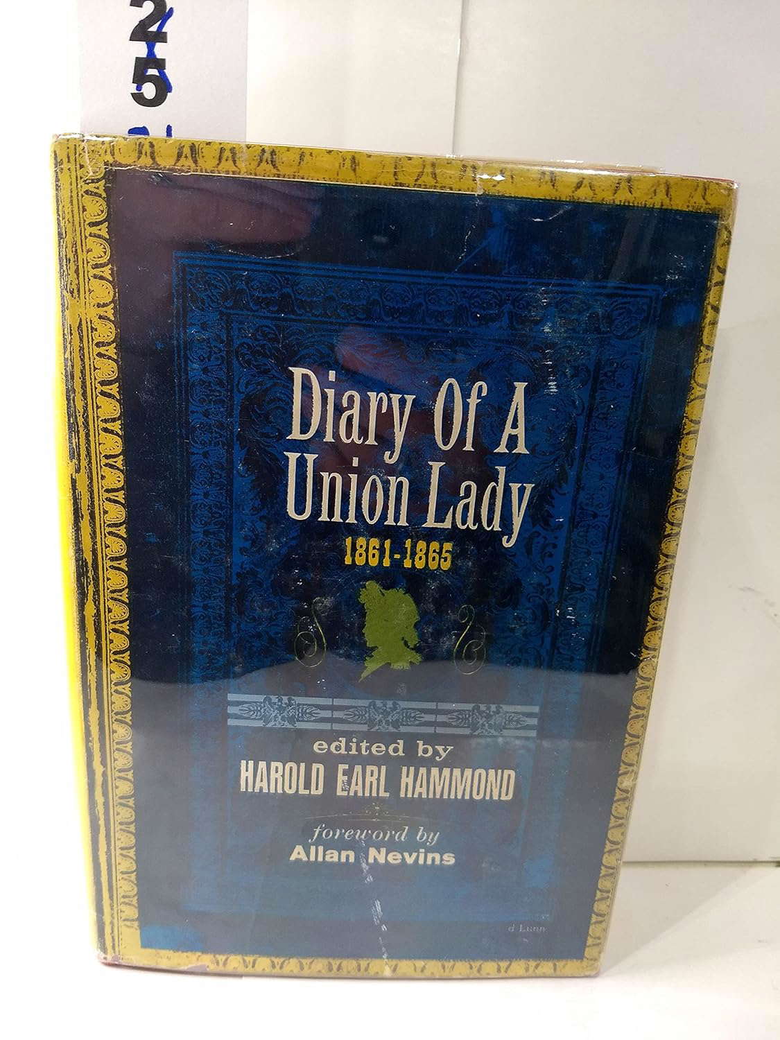 Diary of a Union Lady 1861-1865 poster