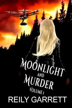 Moonlight and Murder volume 1: Action-packed romantic mystery thrillers poster
