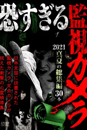 Extremely Scary Surveillance Camera 2021: Midsummer Compilation - 30 Clips poster