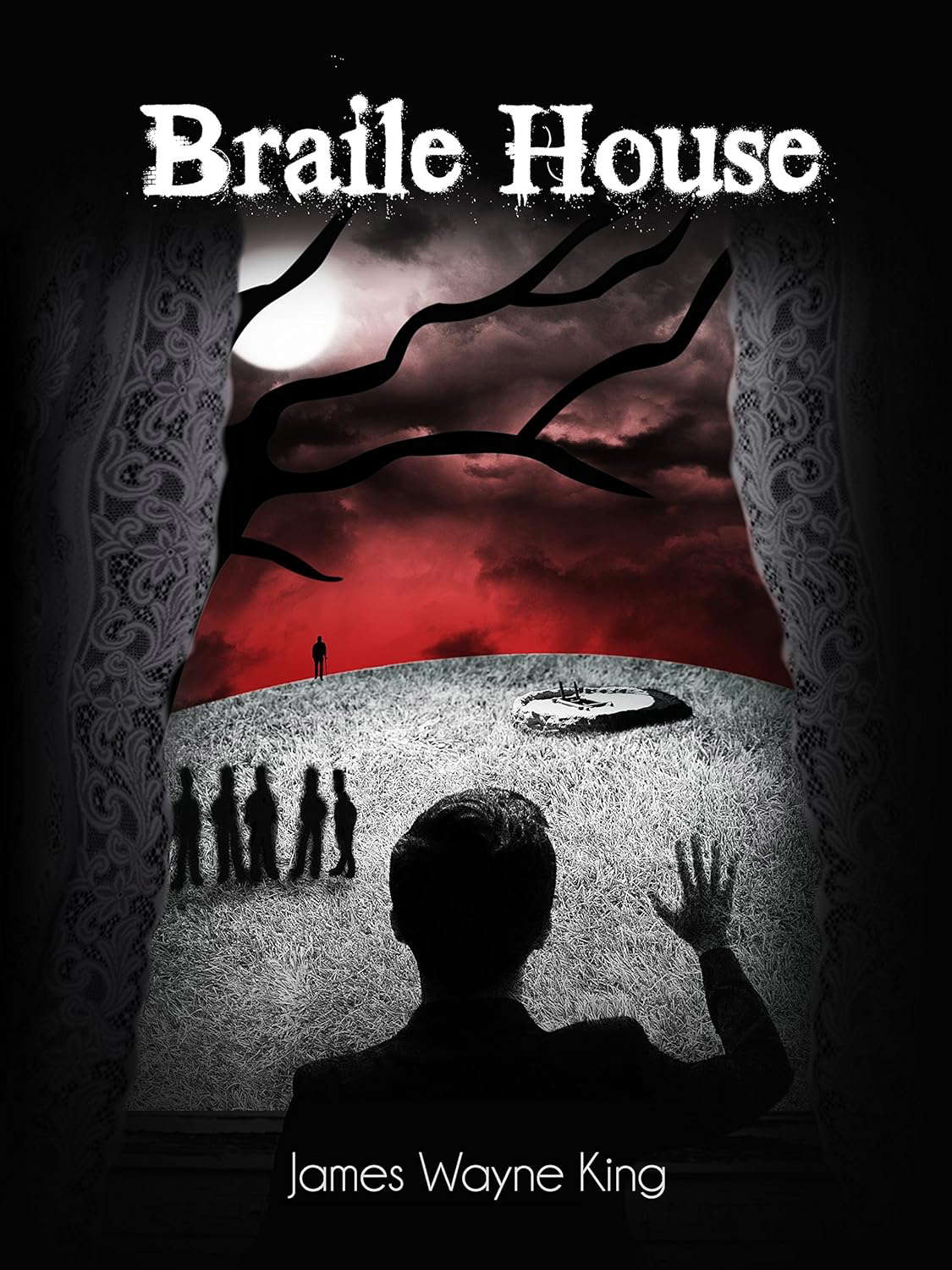 Braile House poster