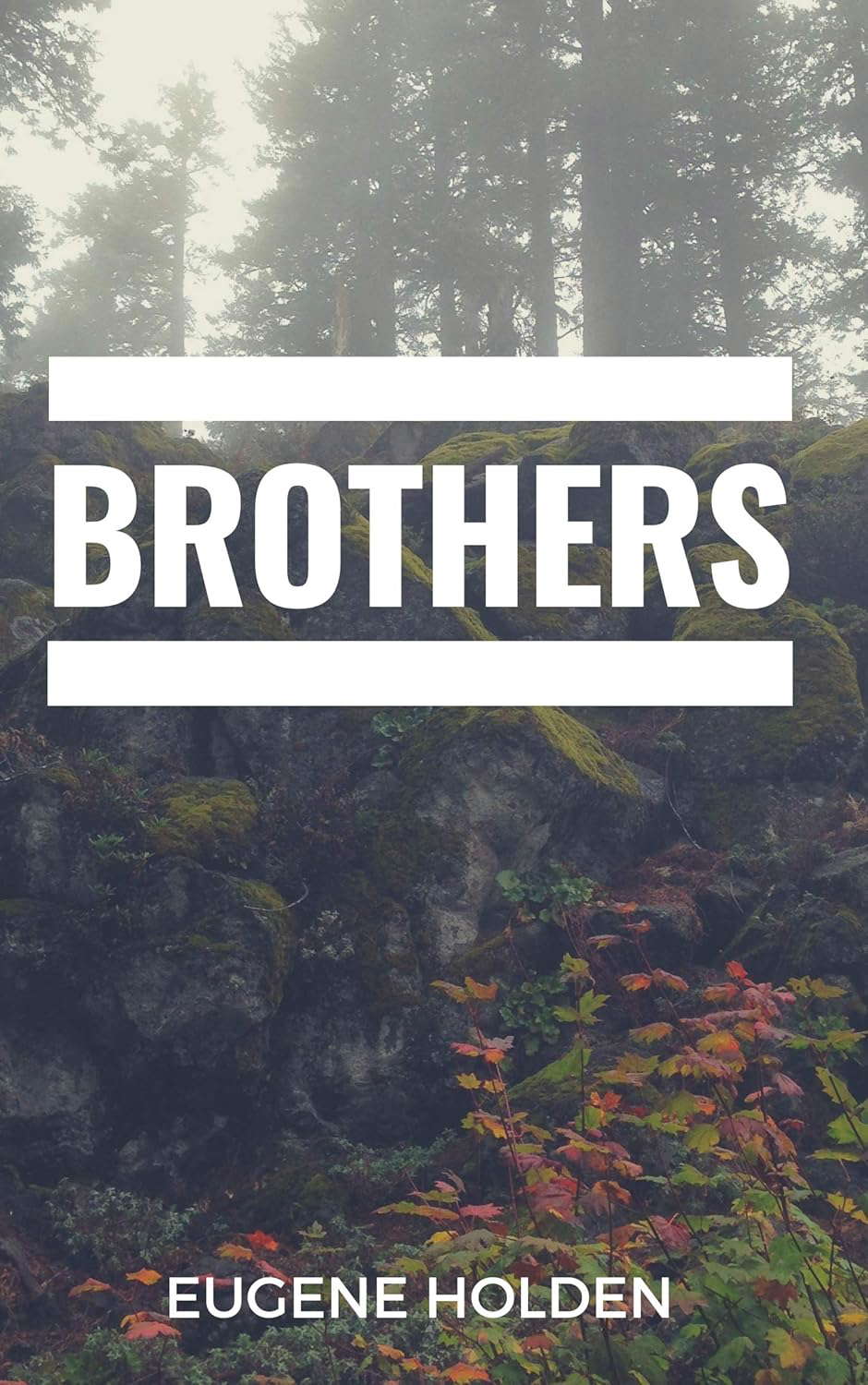 Brothers poster