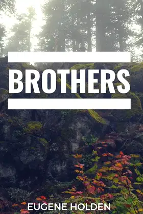 Brothers poster