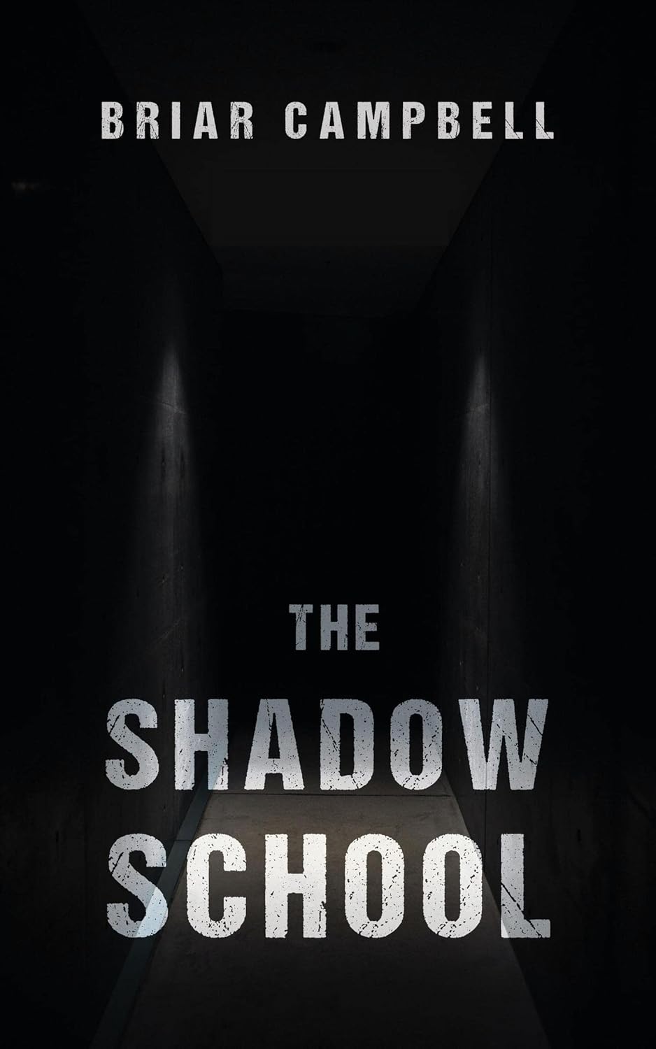 The Shadow School poster