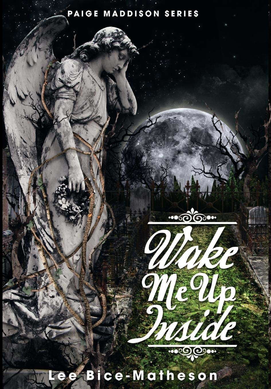 Wake Me Up Inside (Paige Maddison) poster
