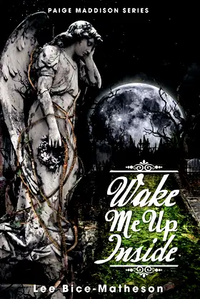 Wake Me Up Inside (Paige Maddison) poster
