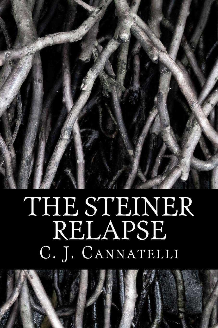 The Steiner Relapse: The Steiner House Saga poster