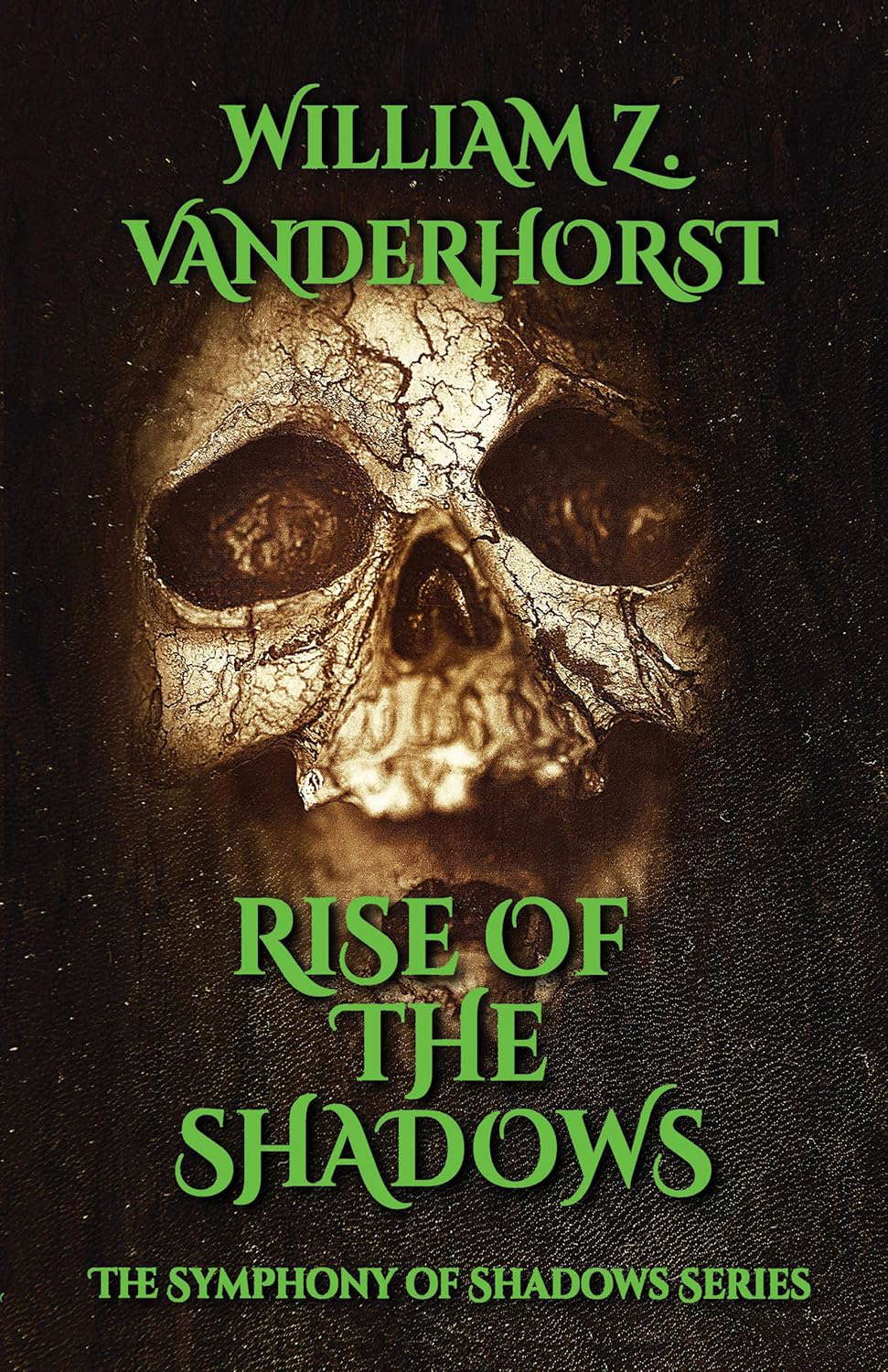 Rise of the Shadows (The Symphony of Shadows Series Book 1) poster