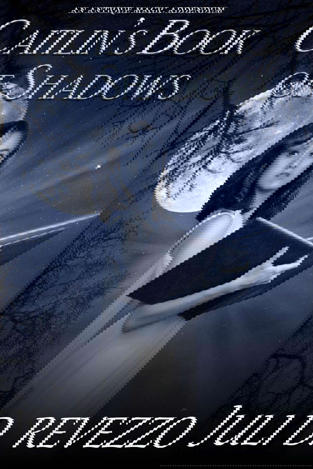 Caitlin's Book of Shadows (Antique Magic 2) poster