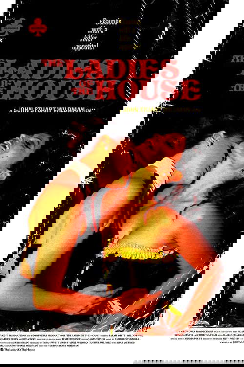 The Ladies of the House poster