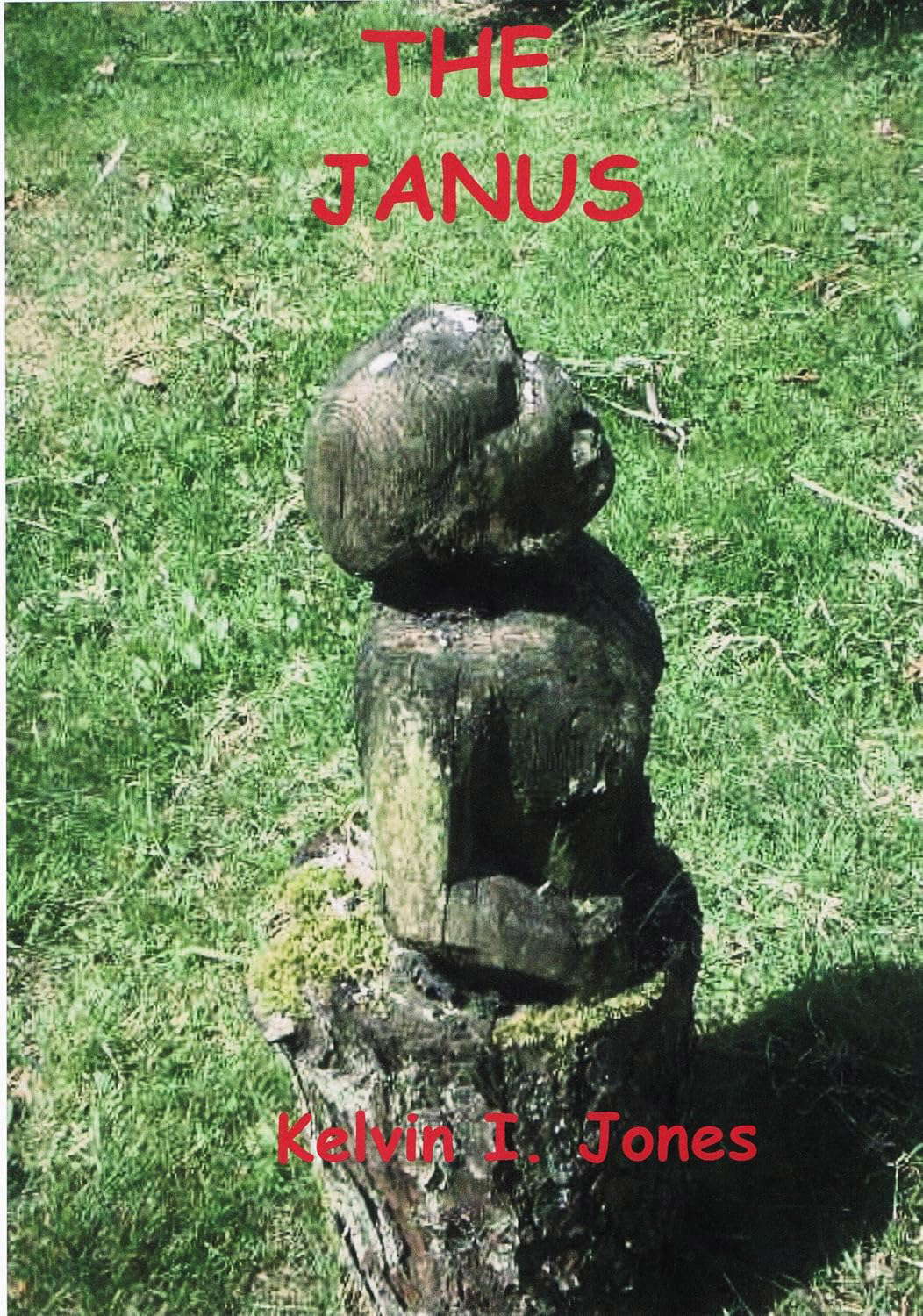 THE JANUS poster