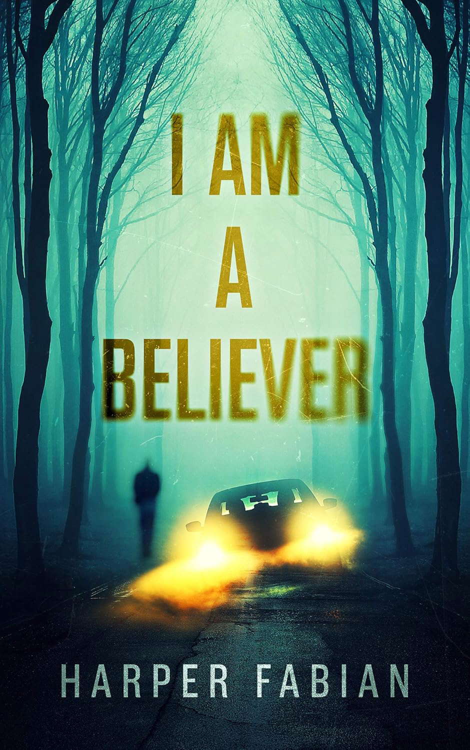 I Am A Believer poster