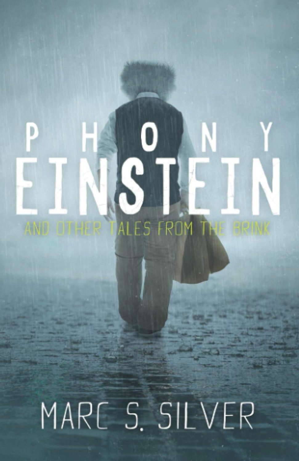 Phony Einstein: and other tales from the brink poster