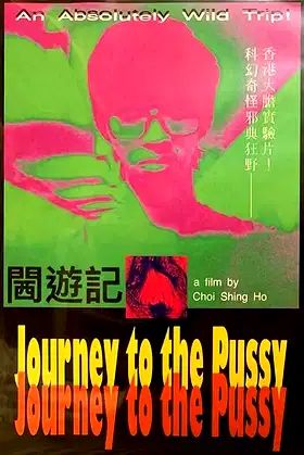 Journey to the Pussy poster