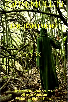 Enchantment: Book 1 poster