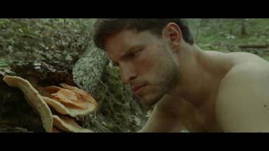 'Harvest Lake' Trailer A poster