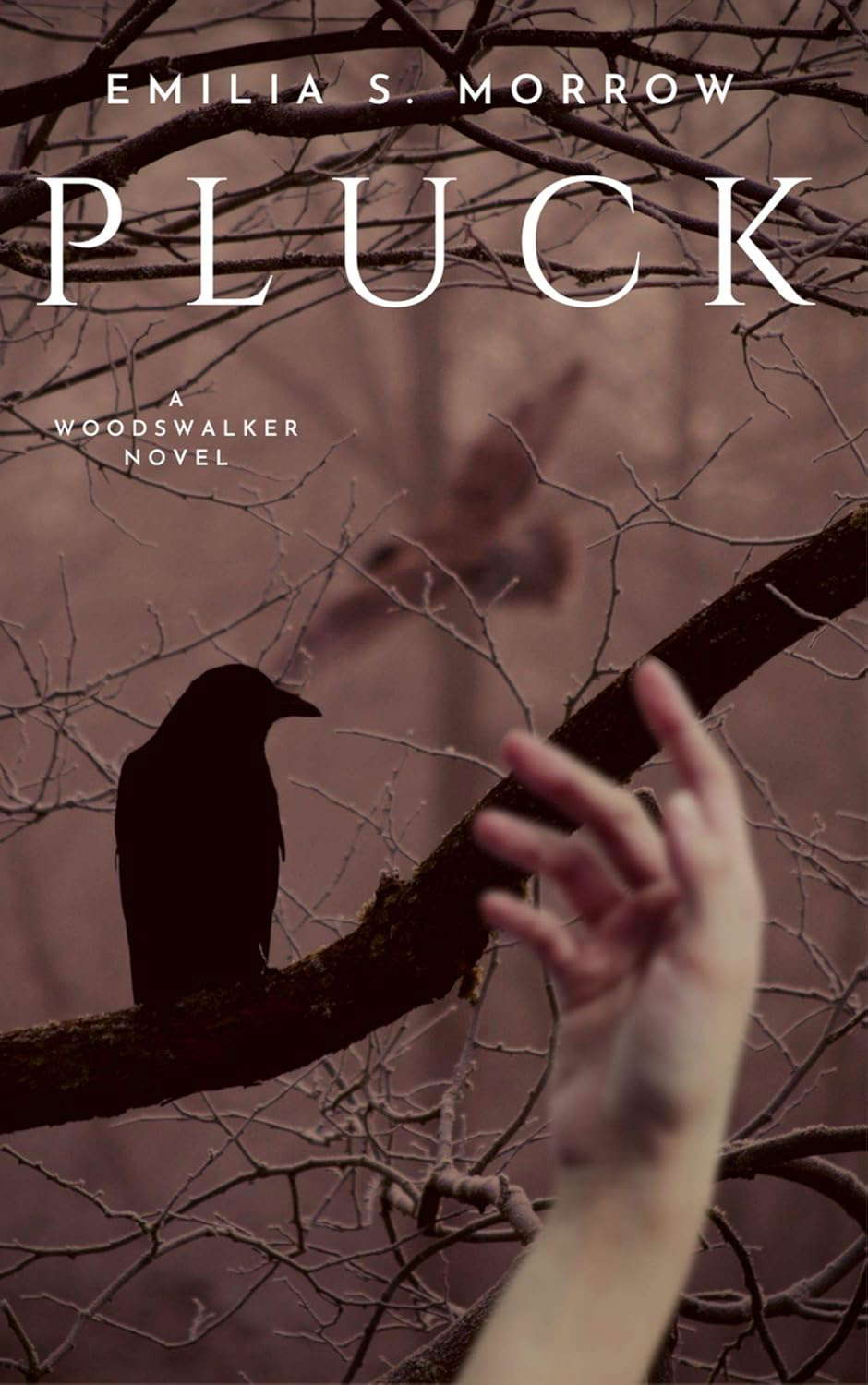 Pluck (The Woodswalker Novels Book 1) poster