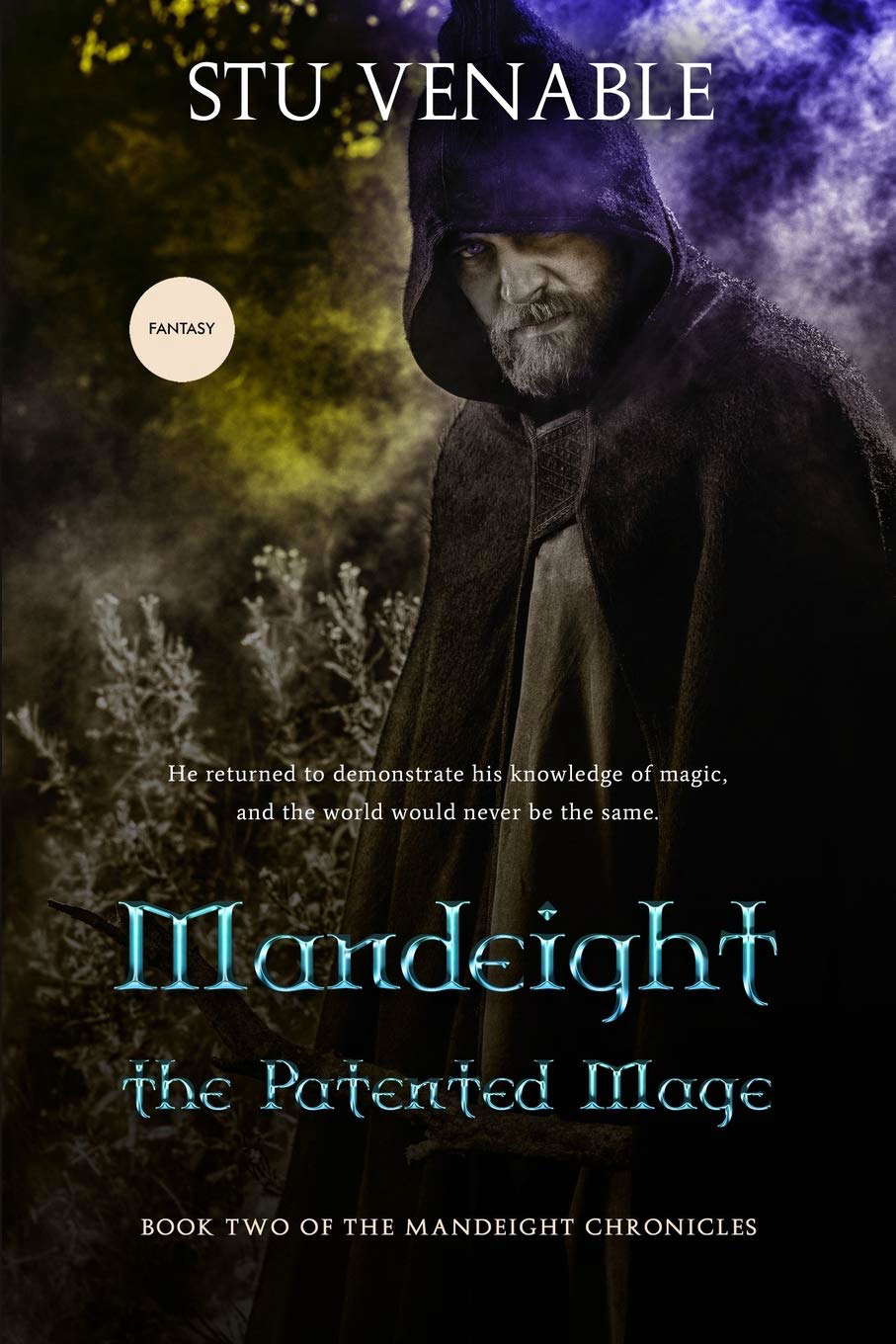 Mandeight the Patented Mage: Book Two in the Mandeight Chronicles poster