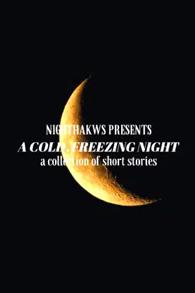 A Cold, Freezing Night: A collection of short horror stories poster